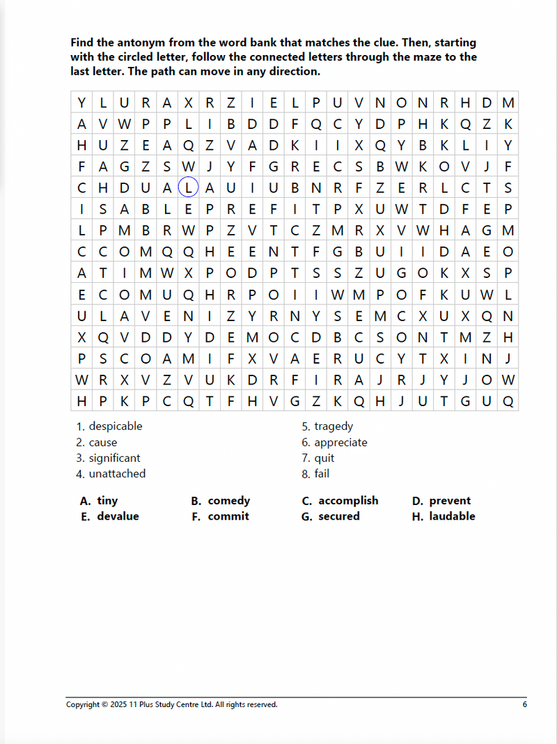 11+ Antonyms and Synonyms (Book 3)
