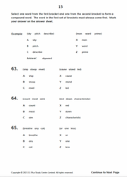 11+ Verbal Reasoning Test Papers - 9 Multiple Choice Tests1