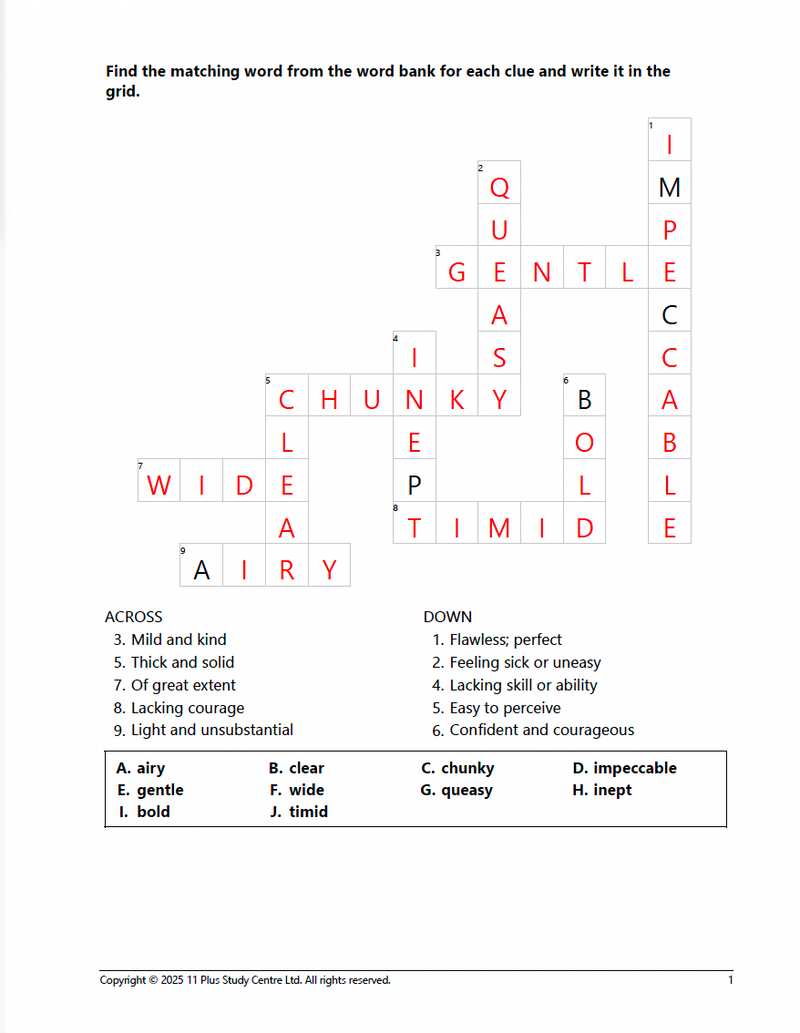 11+Vocabulary Success Pack