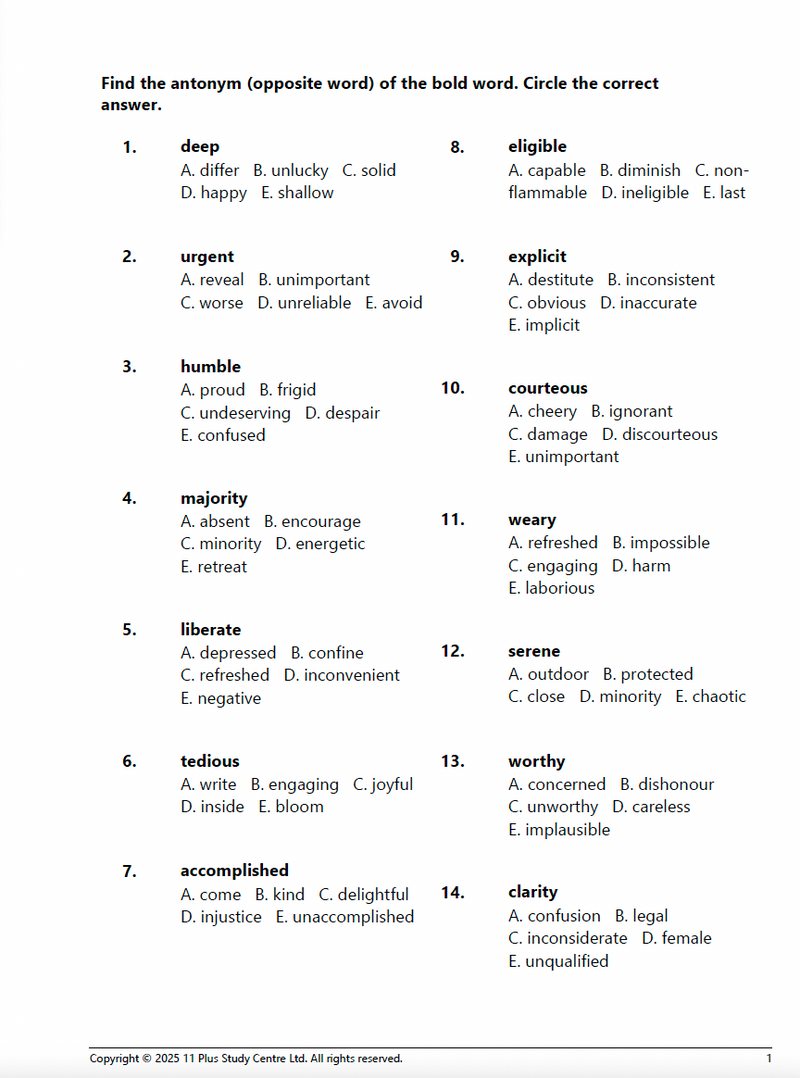 11+Vocabulary Success Pack