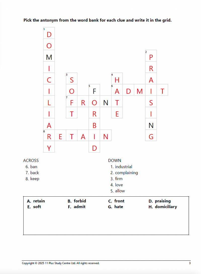 11+Vocabulary Success Pack